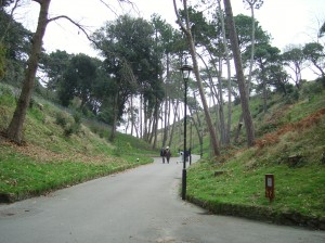 Boscombe Chine at Christmas