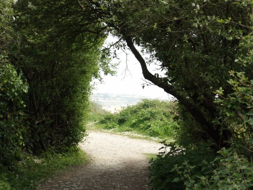 Path from Highcliffe Castle